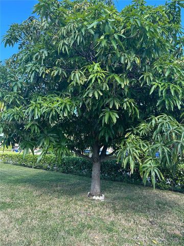 1611 NE 50th Ct, Fort Lauderdale, FL 33334