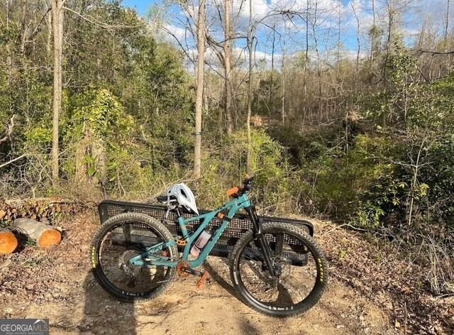 830 Ray Street, Griffin, GA 30223