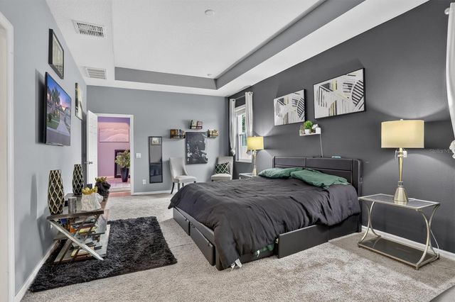 11418 AMAPOLA BLOOM COURT, Riverview, FL 33579