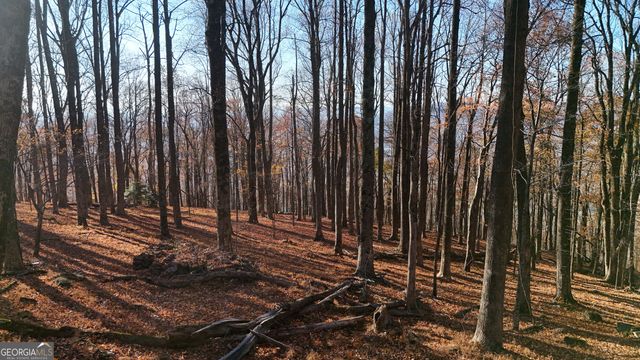 LOT 11 Mountainside Drive, Cleveland, GA 30528