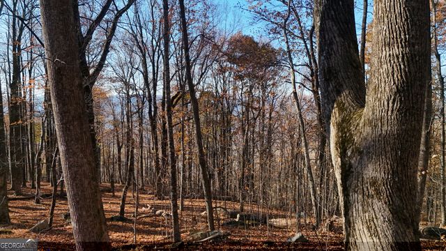 LOT 11 Mountainside Drive, Cleveland, GA 30528
