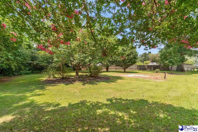 23 McRae Road, Cheraw, SC 29520