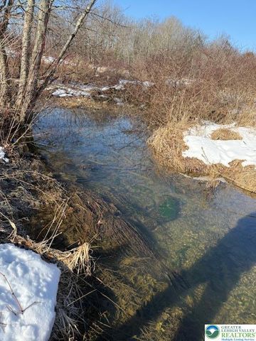 857 Penn Drive, West Penn Twp, PA 18252