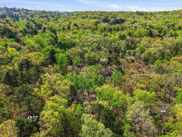 99 Roxie Ln., Greers Ferry, AR 72067