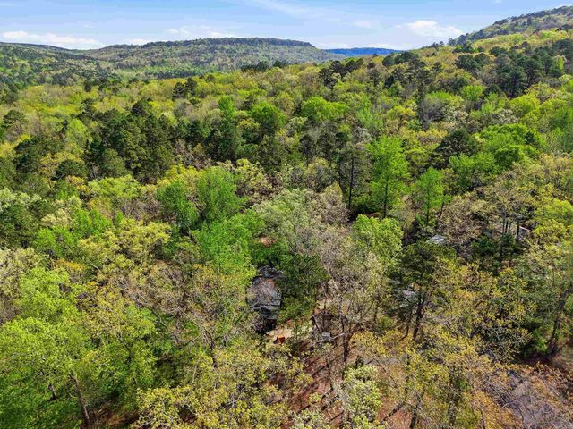 99 Roxie Ln., Greers Ferry, AR 72067