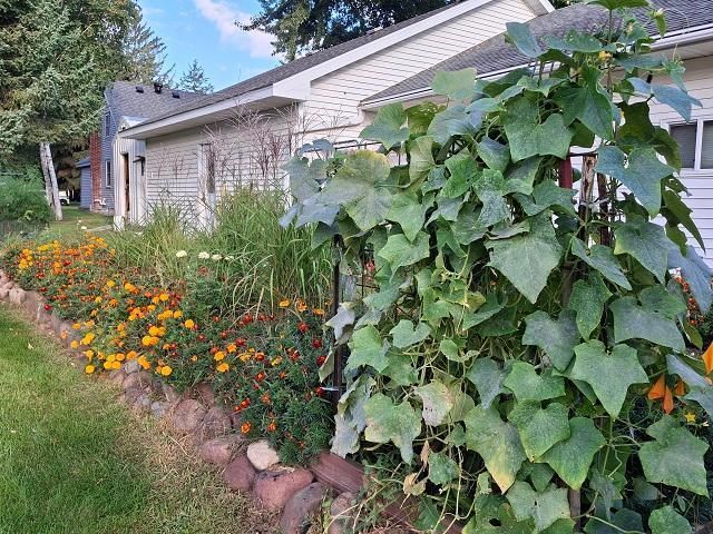 201 Norman Avenue S, Foley, MN 56329