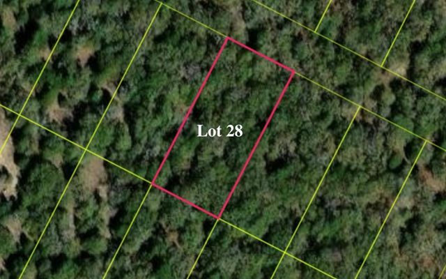 131 Los Robles RD, Elgin, TX 78621