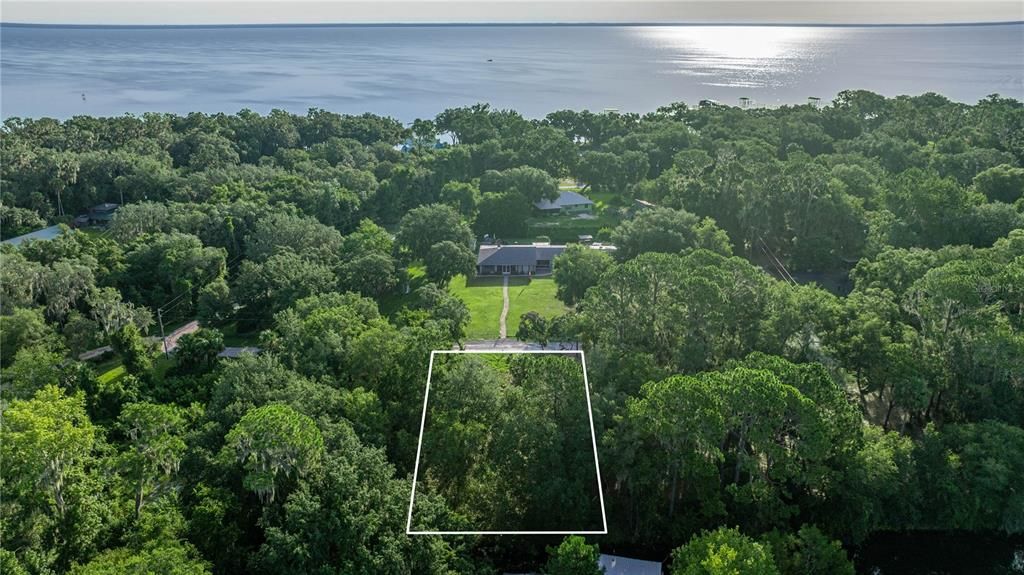 TBD NE 303RD COURT, Salt Springs, FL 32134