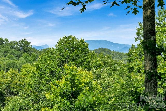 1625 Ugugu Drive, Brevard, NC 28712