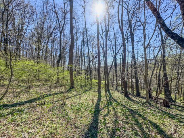 410 Britton Hollow Rd, Pulaski, TN 38478