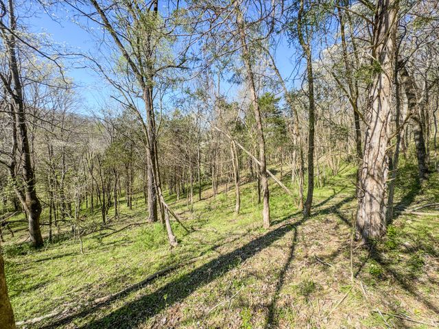 410 Britton Hollow Rd, Pulaski, TN 38478