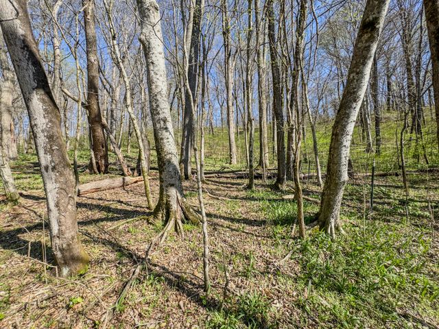410 Britton Hollow Rd, Pulaski, TN 38478