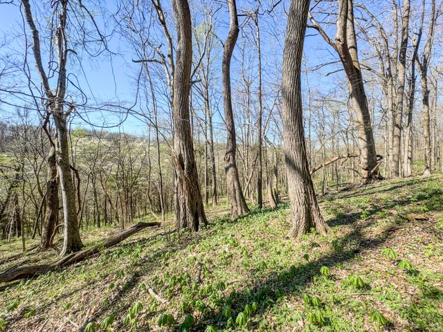 410 Britton Hollow Rd, Pulaski, TN 38478