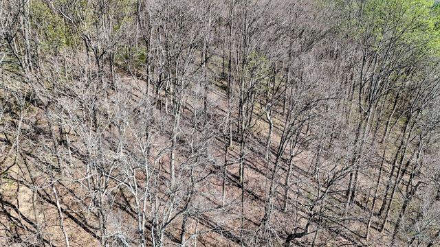 410 Britton Hollow Rd, Pulaski, TN 38478