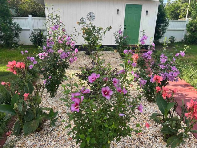 1137 Palmetto St., Georgetown, SC 29440