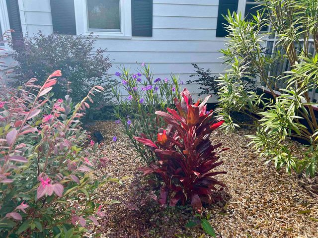 1137 Palmetto St., Georgetown, SC 29440