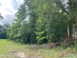 0000 Robins Way 36, Marianna, FL 32446