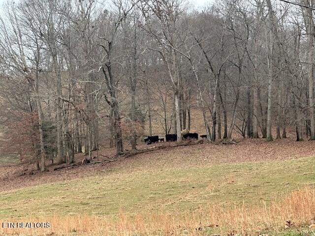 811 Pioneer Rd, Ewing, VA 24248