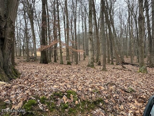 811 Pioneer Rd, Ewing, VA 24248