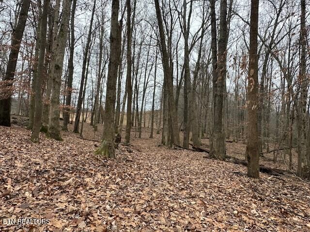 811 Pioneer Rd, Ewing, VA 24248