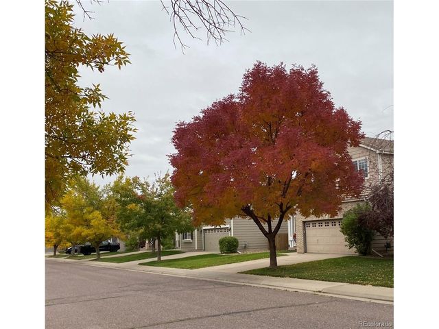 6827 W Rockland Pl, Littleton, CO 80128