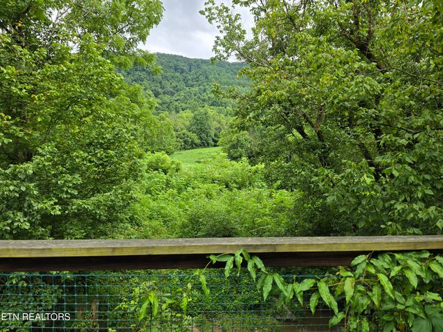 6835 Mulberry Gap Rd, Sneedville, TN 37869