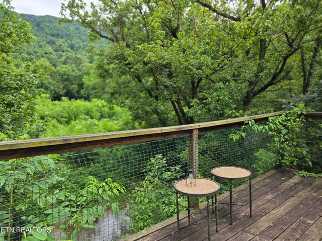 6835 Mulberry Gap Rd, Sneedville, TN 37869