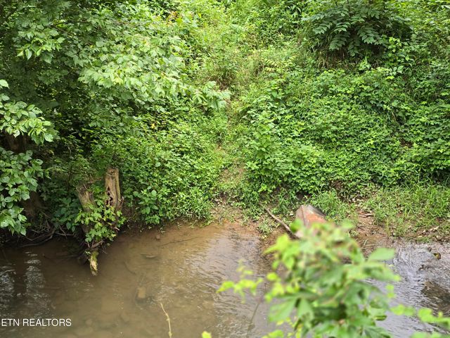 6835 Mulberry Gap Rd, Sneedville, TN 37869