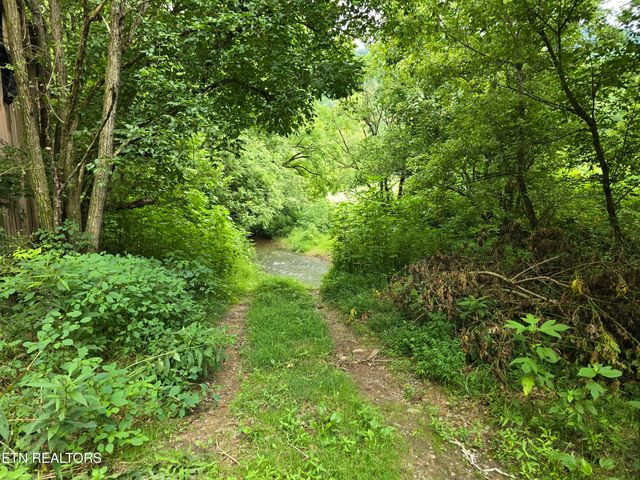 6835 Mulberry Gap Rd, Sneedville, TN 37869