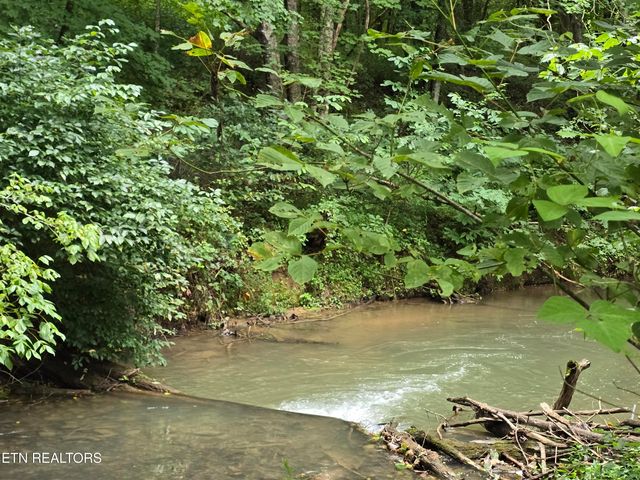 6835 Mulberry Gap Rd, Sneedville, TN 37869