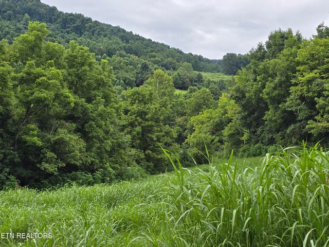 6835 Mulberry Gap Rd, Sneedville, TN 37869