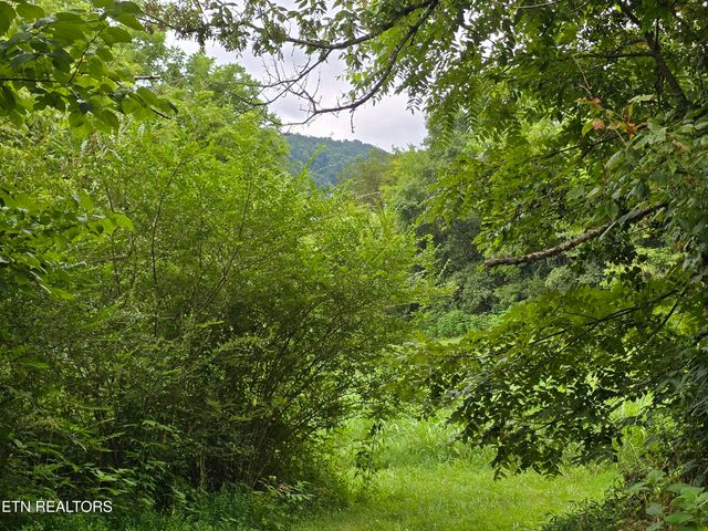 6835 Mulberry Gap Rd, Sneedville, TN 37869