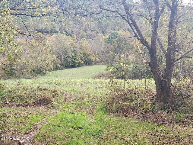6835 Mulberry Gap Rd, Sneedville, TN 37869