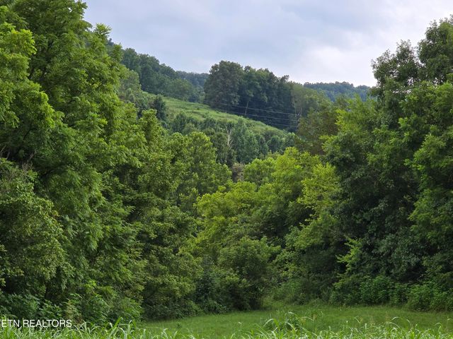 6835 Mulberry Gap Rd, Sneedville, TN 37869