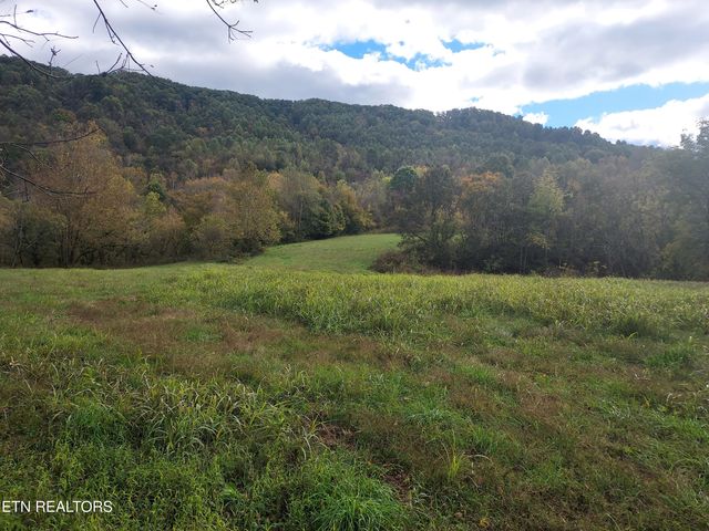 6835 Mulberry Gap Rd, Sneedville, TN 37869