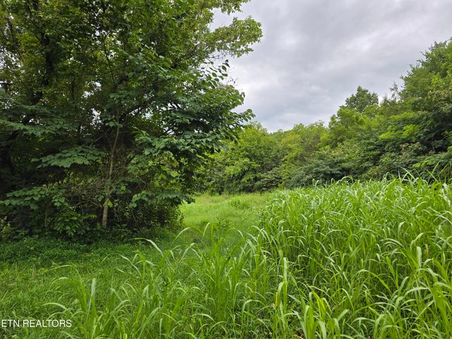6835 Mulberry Gap Rd, Sneedville, TN 37869