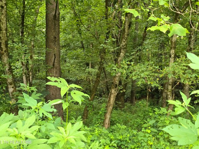6835 Mulberry Gap Rd, Sneedville, TN 37869