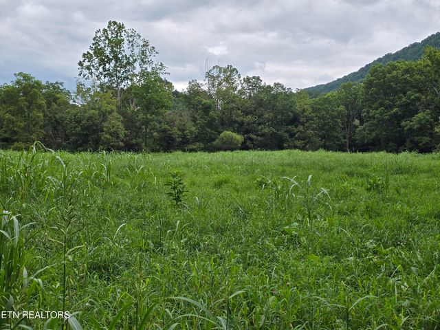 6835 Mulberry Gap Rd, Sneedville, TN 37869