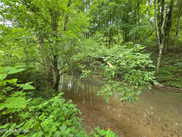 6835 Mulberry Gap Rd, Sneedville, TN 37869