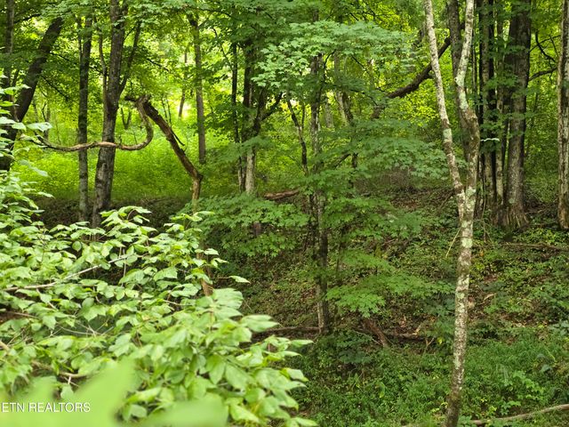 6835 Mulberry Gap Rd, Sneedville, TN 37869