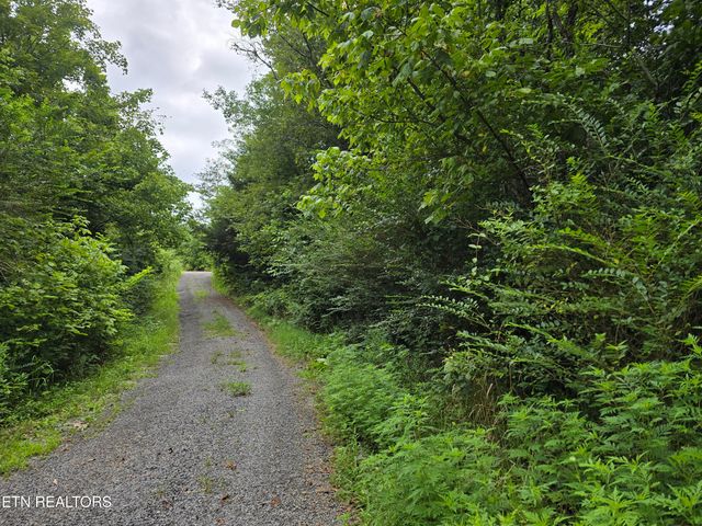 6835 Mulberry Gap Rd, Sneedville, TN 37869