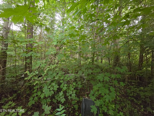 6835 Mulberry Gap Rd, Sneedville, TN 37869