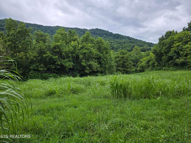 6835 Mulberry Gap Rd, Sneedville, TN 37869