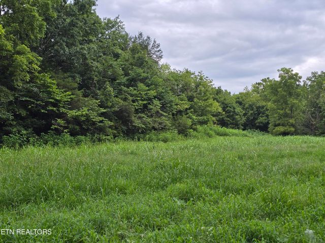 6835 Mulberry Gap Rd, Sneedville, TN 37869