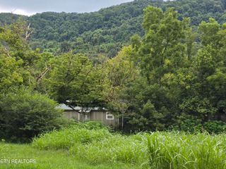 6835 Mulberry Gap Rd, Sneedville, TN 37869