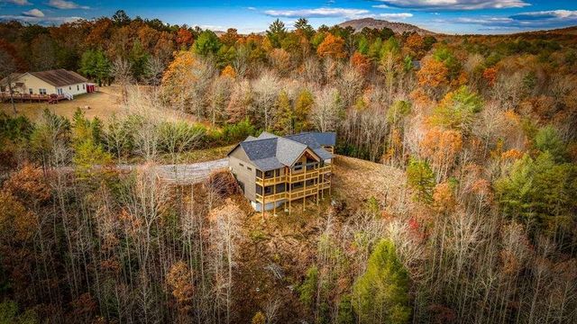 100 Walnut Trace, Mineral Bluff, GA 30559