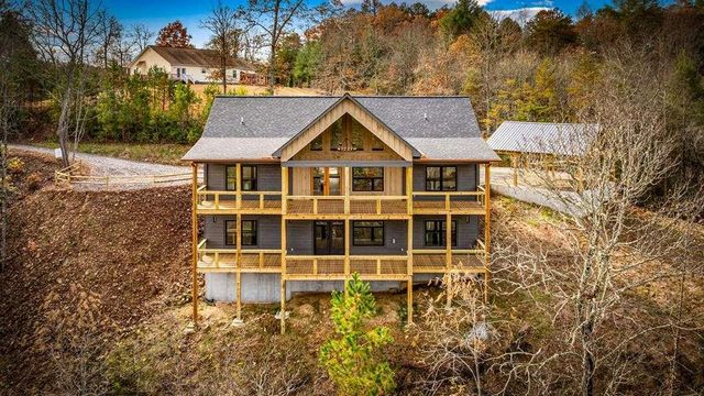 100 Walnut Trace, Mineral Bluff, GA 30559