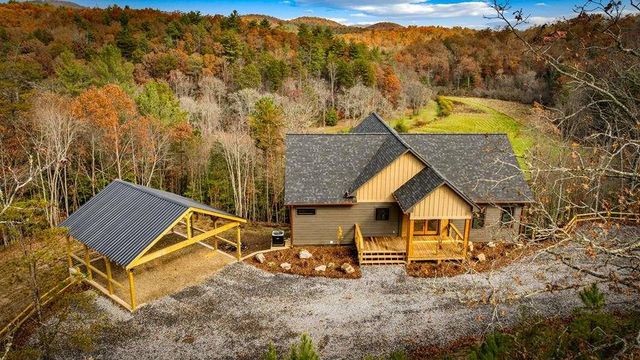 100 Walnut Trace, Mineral Bluff, GA 30559