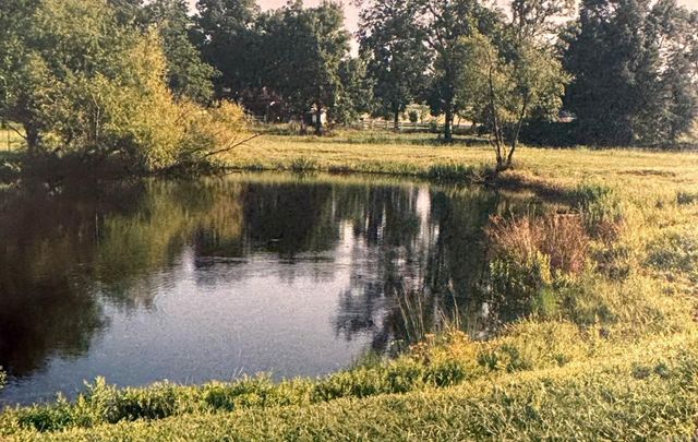 120 AR-287, Greenbrier, AR 72058