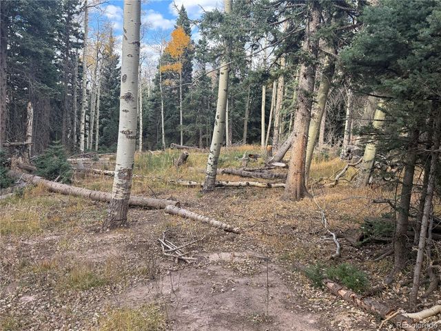 2662 Petito Drive, Fort Garland, CO 81133